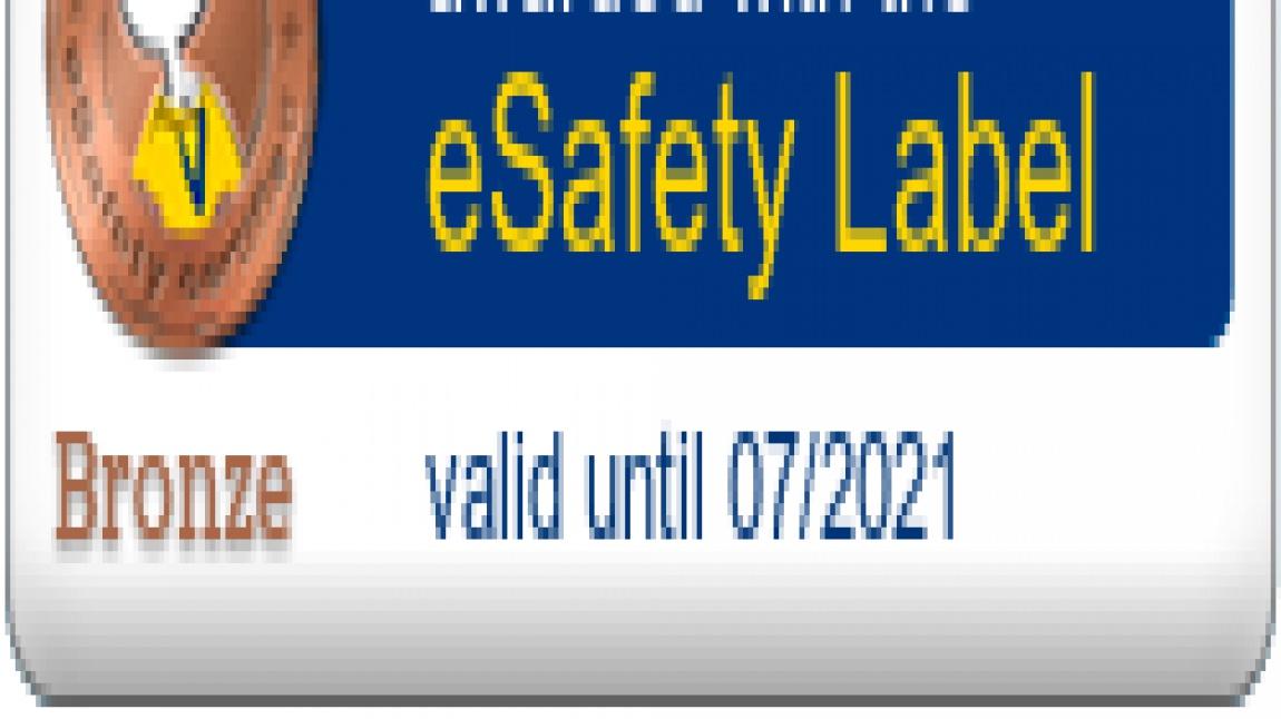 eSafety Label Bronze Etiketi Aldık